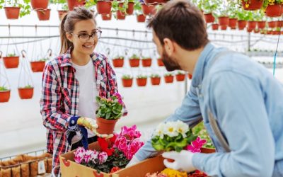 Seizoensgebonden bloembakken: Ideeën en tips voor het creëren van kleurrijke bloemendisplays voor elk seizoen